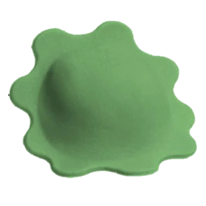 Marguerites vertes au fromage Surgital IQF 3 kg