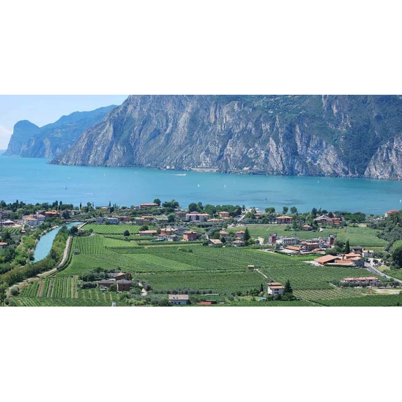 TRENTO DOC BRUT MILLESIMATO 12.5%Vol  BLANC DE BLANC MADONNA DELLE VITTORIE MARZADRO