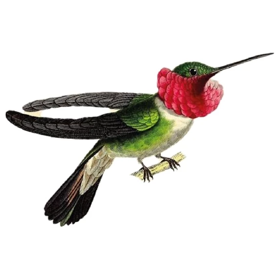 Rosato Toscana DOC IGT Calipte Floralia  Cecchi 12% - 75 cl