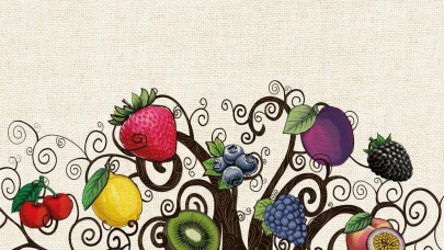 LA CASCINA DI PEPPINO