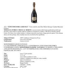 REMIGIO 100 LAMBRUSCO GRASPAROSSA DOP