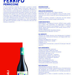 Caruso-e-Minini-Perripo-perricone