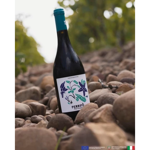 Perripò Perricone Terre Siliciane IGP Bio Caruso & Minini 13.5% - 75 cl