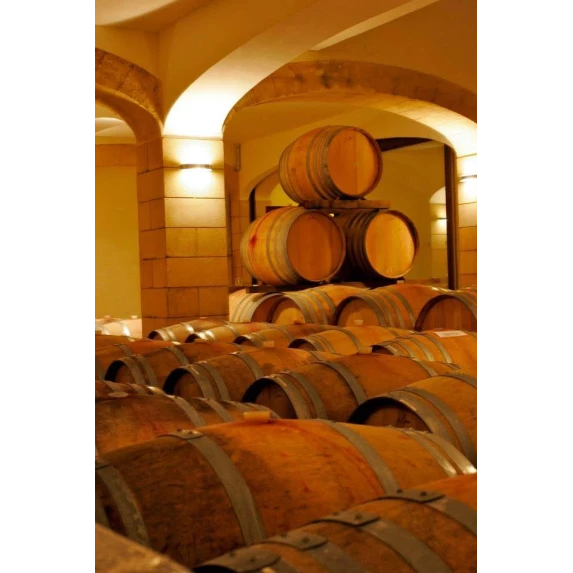 Frapello Frappato Nerello Mascalese Terre Siciliane IGP rosso Caruso & Minini 13.5% - 75 cl