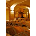 Frapello Frappato Nerello Mascalese Terre Siciliane IGP rosso Caruso & Minini 13.5% - 75 cl