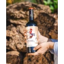 Cavalleggero Cannonau di Sardegna DOC rosso 13% Vol - 75 cl