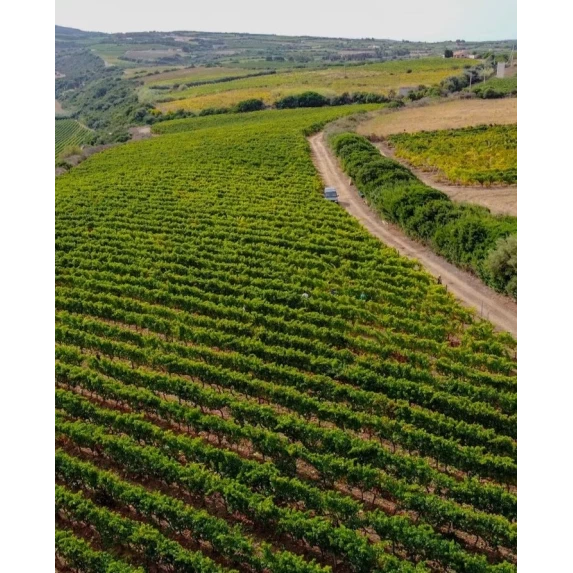 Ninnaluna Cannonau di Sardegna DOC rosé 12.5% Vol - 75 cl