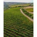 Ninnaluna Cannonau di Sardegna DOC rosé 12.5% Vol - 75 cl