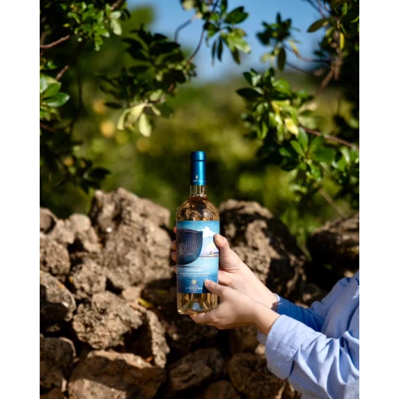 Albalena Vermentino di Sardegna DOC 13.5% Vol - 75 cl