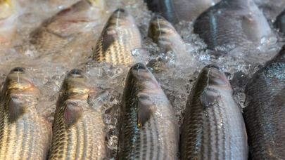 Produits de la mer surgelés