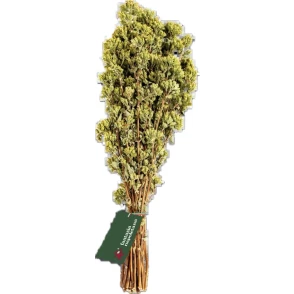 Branches de 40 g d'Origano Italiano Fantasia Napoletana