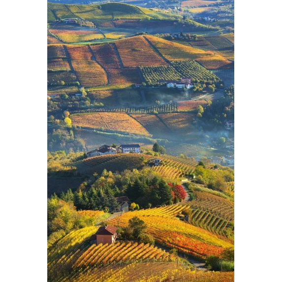 BAROLO  DOCG "La Tur" 14.5%Vol 75cl SERRAGRILLI
