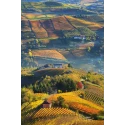 BAROLO  DOCG "La Tur" 14.5%Vol 75cl SERRAGRILLI