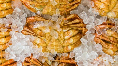 Fruits de mer & crustacés surgelés