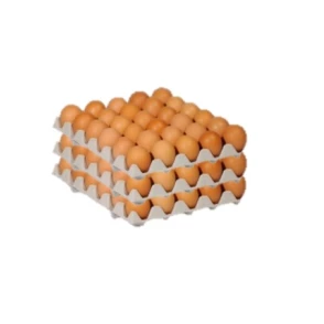 90 Œufs de Calibre Moyen 53/63