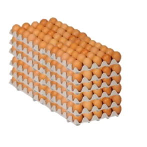 360 Oeufs Moyens Calibre 53/63