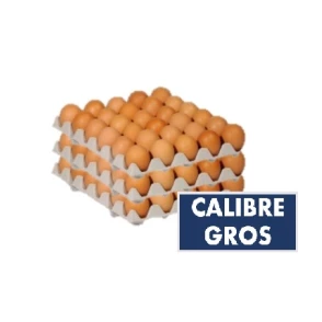 90 Oeufs Gros Calibre 63/73