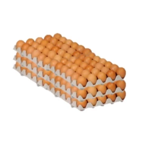 Oeufs Moyens Calibre 53/63 x180