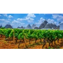 Chardonnay Puglia IGP 12,5 % Vol. Masseria Pezza