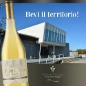 Portarino Malvasia IGP Basilicata 12,5 % Vol.