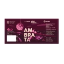 Ambrata Bière Artisanale Italienne 7,5% Ibeer 33CL x12