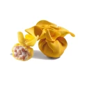 Fiocchi Speck et Fontina IQF 3KG